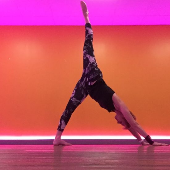 3 legged dog cropped 3 legged dog cropped